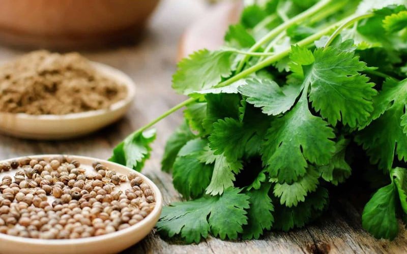 5 loại thực phẩm giúp thận lọc độc tố hiệu quả