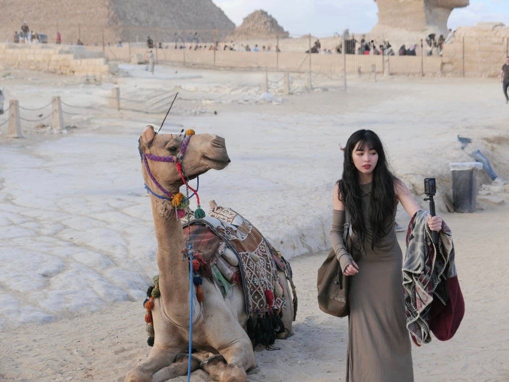 خطأ غير مقصود يُسبب ندم سائحين فيتناميين على إنفاق 100 مليون دونغ فيتنامي على رحلة إلى مصر - الجزء الثاني