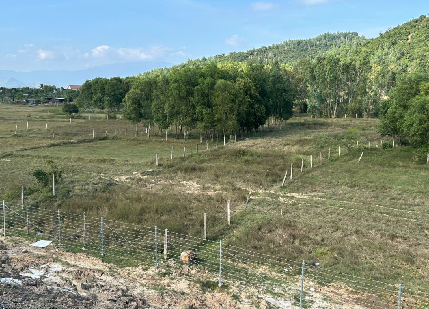 Der aktuelle Zustand des Geländes, auf dem die Bewohner des Viertels Van Dinh den Ausbau einer Straße fordern, zeigt, dass Zäune die Grundstücke unterteilen und das Land seit vielen Jahren brachliegt und nicht bewirtschaftet wird.