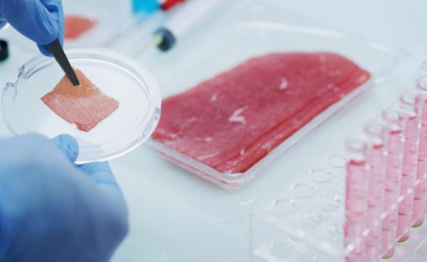 Một mẫu sashimi cá ngừ được tạo ra từ công nghệ nuôi cấy tế bào. Ảnh: MH.