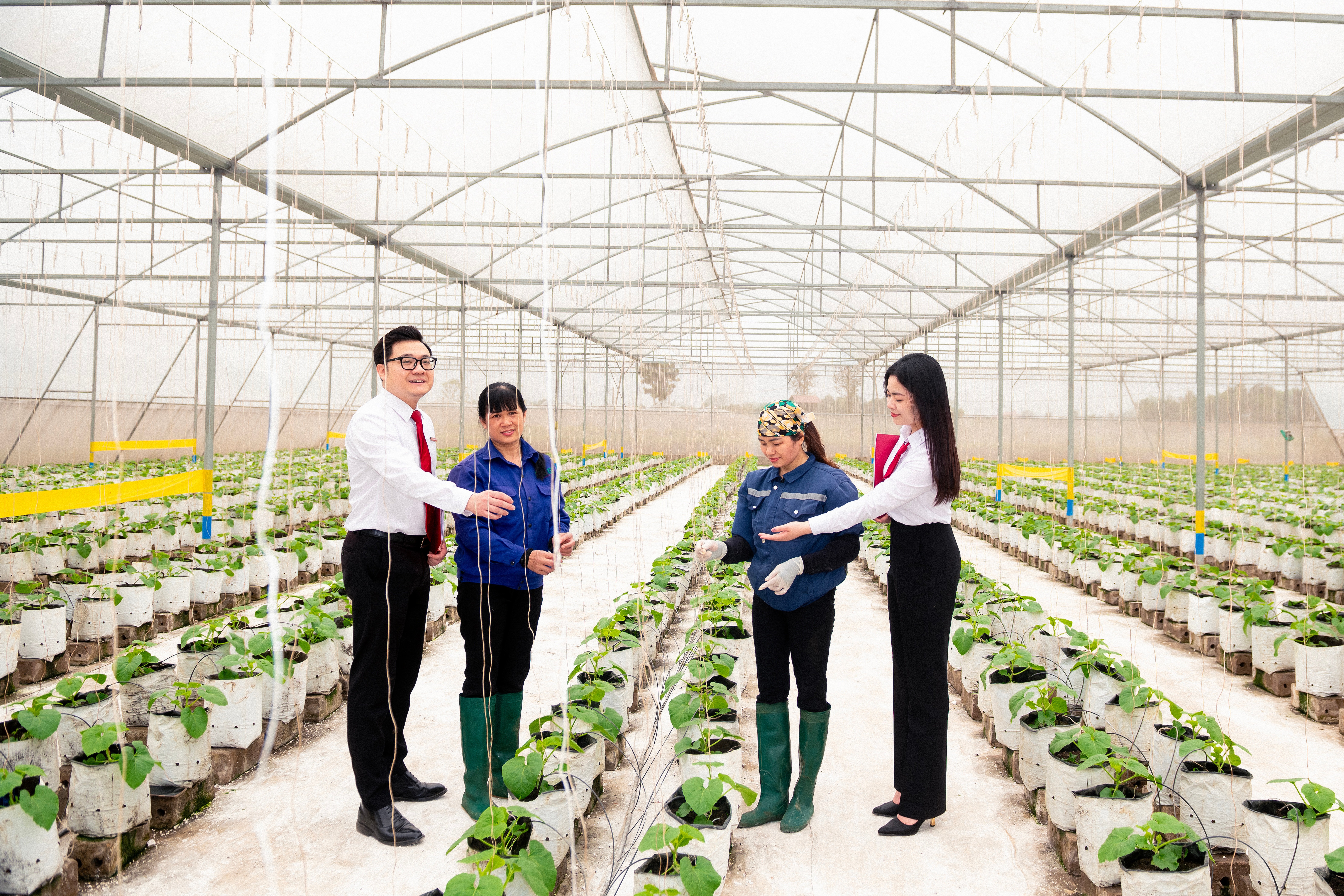 anh-4.jpg