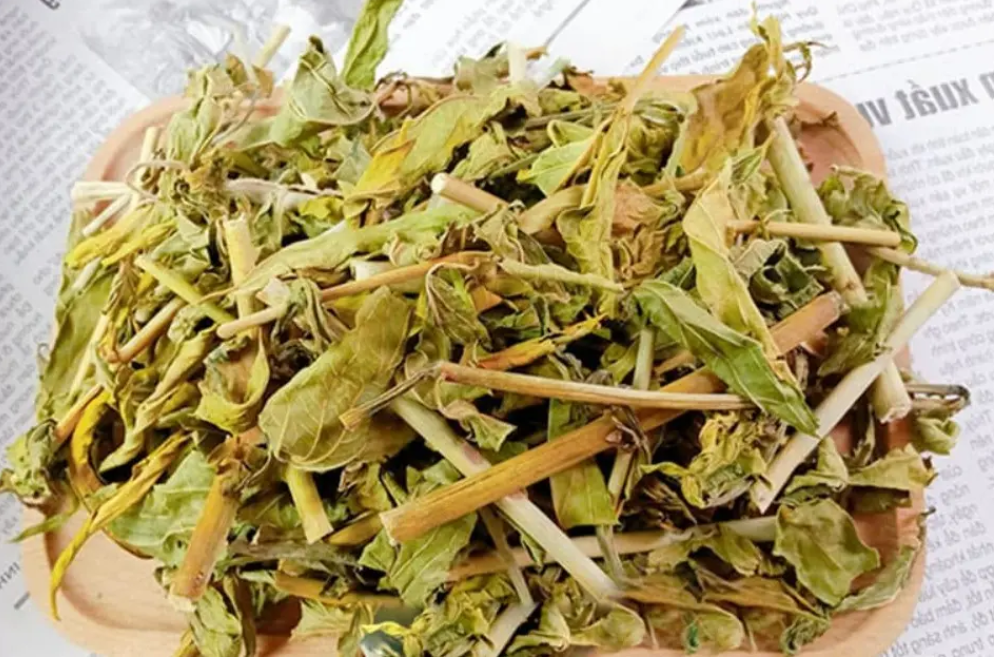 Bài thuốc chữa sẹo lồi từ cây bìm bịp- Ảnh 3.