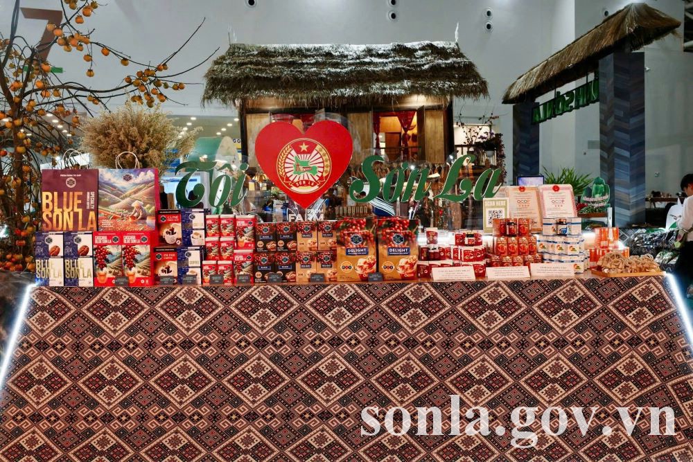 Er glaubt dem Artikel