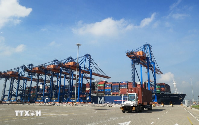Presso il porto internazionale di Gemalink, parte del sistema portuale di Cai Mep (quartiere di Tan Phuoc), operano camion portacontainer. Foto: Hong Dat - VNA ttxvn-3-cang-bien-cua-viet-nam-lot-top-100-cang-luu-thong-nhieu-hang-hoa-nhat-the-gioi-8265792.jpg