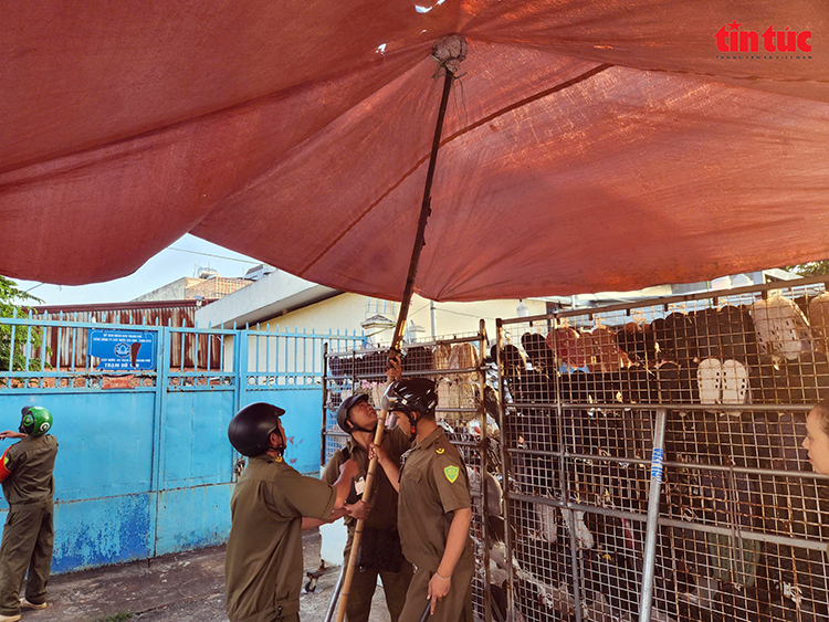 写真のキャプション