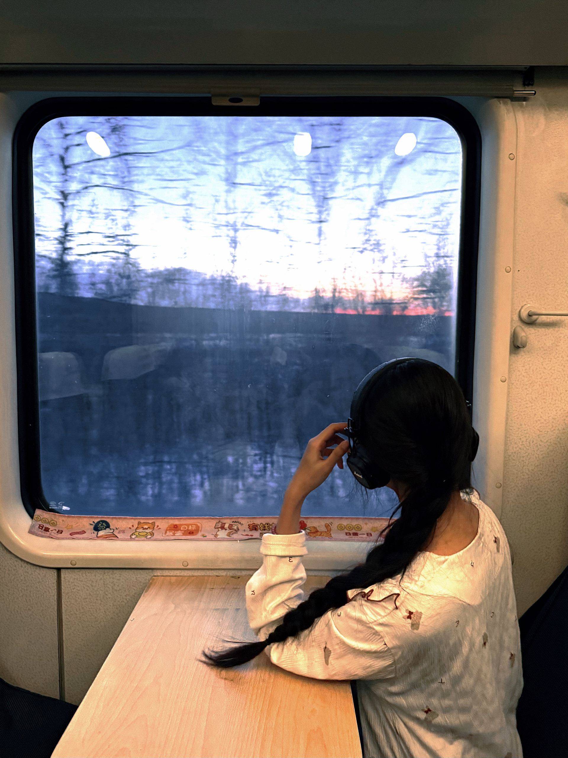 電車からの眺め.jpg