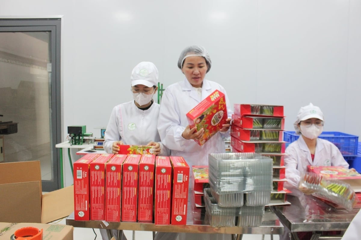 Các doanh nghiệp quan tâm đầu tư cho mẫu mã, bao bì hơn bởi đây chính là 'chìa khóa' đầu tiên để thu hút khách hàng. Ảnh: L.A.