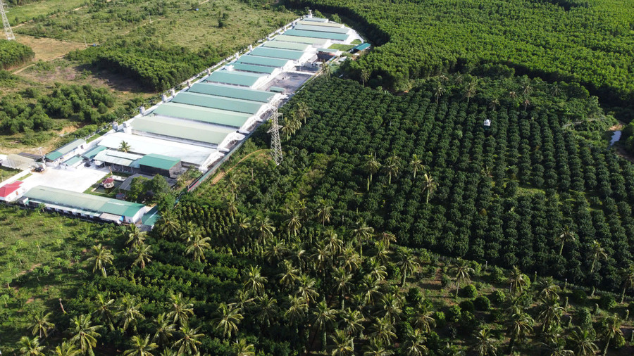 La expectativa es desarrollar una agricultura sostenible y aumentar los ingresos de la gente. – Vietnam.vn