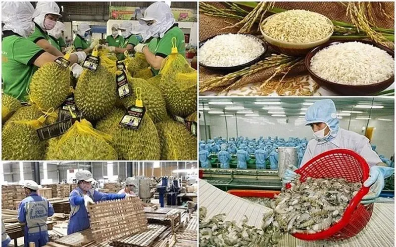 Las exportaciones de productos agrícolas, forestales y acuáticos tienen como objetivo alcanzar los 100.000 millones de dólares estadounidenses. Xuất khẩu nông lâm thủy sản đặt mục tiêu đạt tới 100 tỷ USD