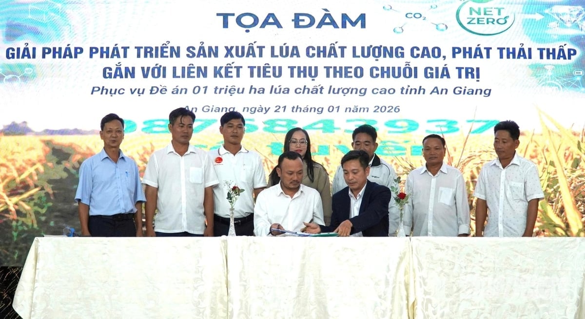 Trung tâm Khuyến nông An Giang và Công ty Toàn Cầu ký kết hợp tác, hỗ trợ các hợp tác xã tổ chức sản xuất và liên kết tiêu thụ lúa tham gia Đề án 1 triệu ha tại An Giang. Ảnh: Trung Chánh. 