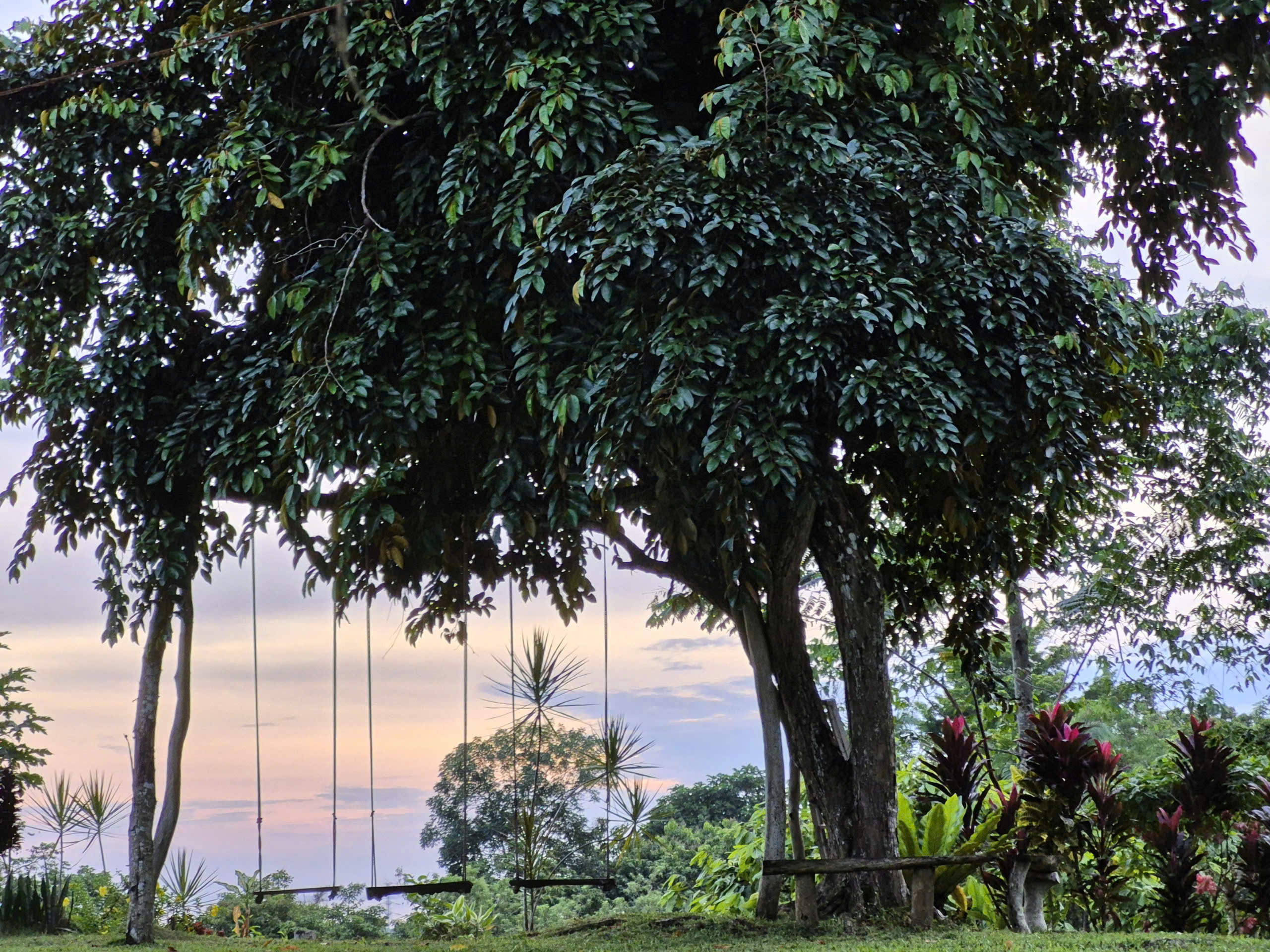 Du lịch Philippines: Những điểm dừng chân “gây thương nhớ” ở Cebu, Bohol- Ảnh 11.
