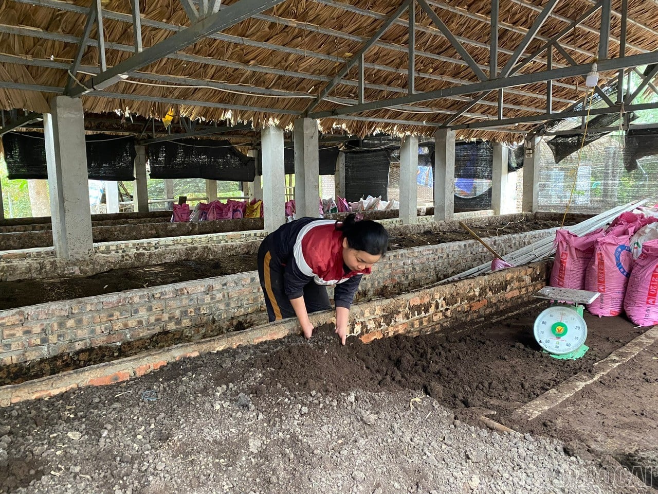 baolaocai-br_z7456238876651-d36f5b5595fa3ae7731019013d039325.jpg