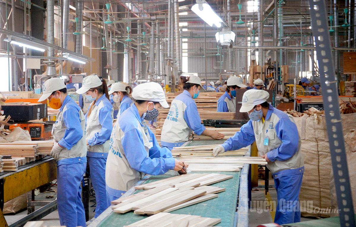 省内の企業で働く労働者の平均月収は、一人当たり680万ドンを超えています。（写真：ウッズランド・トゥエンクアン株式会社の工場の労働者）