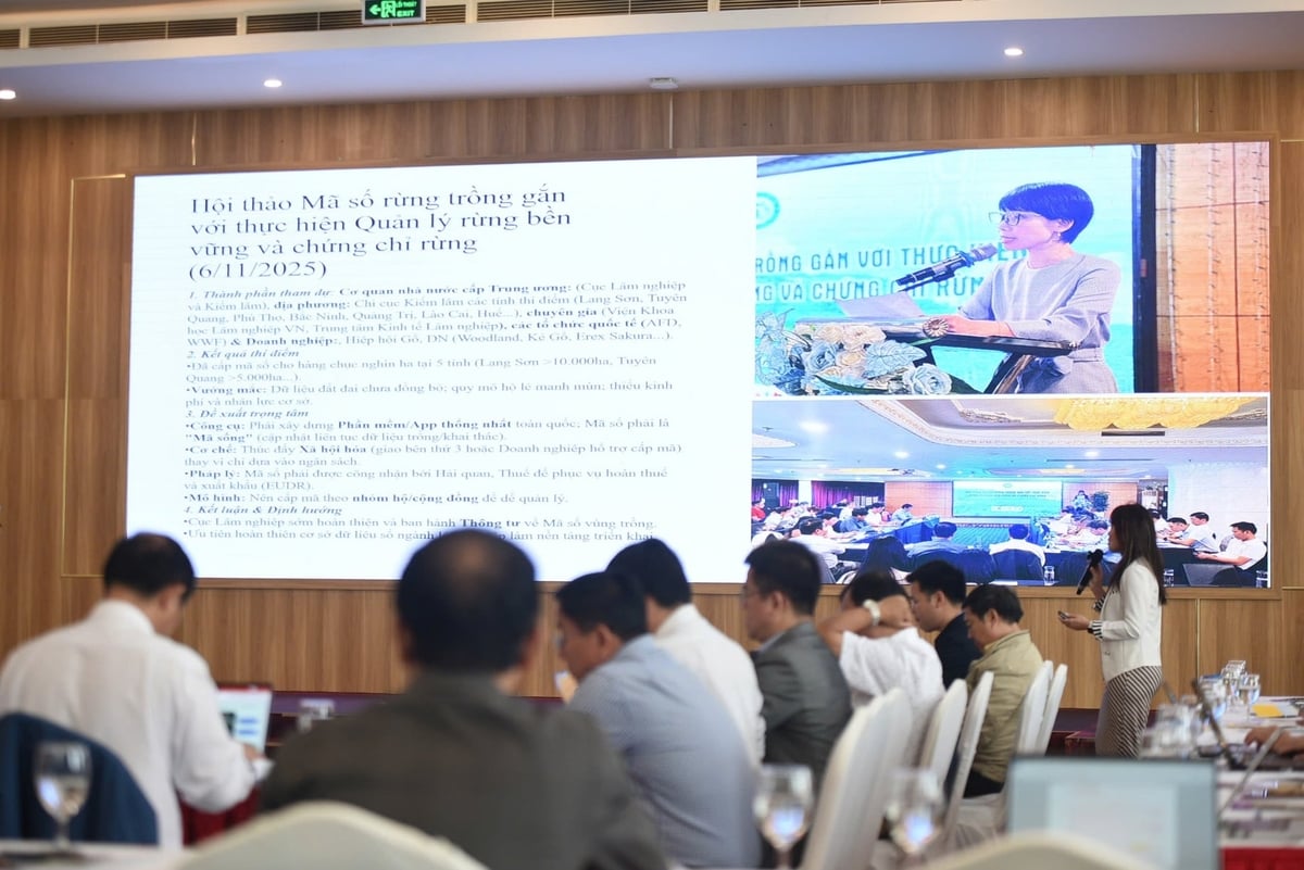 Hội thảo tổng kết Dự án 'Thúc đẩy thực hiện quản lý rừng bền vững và đa dạng sinh học tại Việt Nam'. Ảnh: Lan Anh.