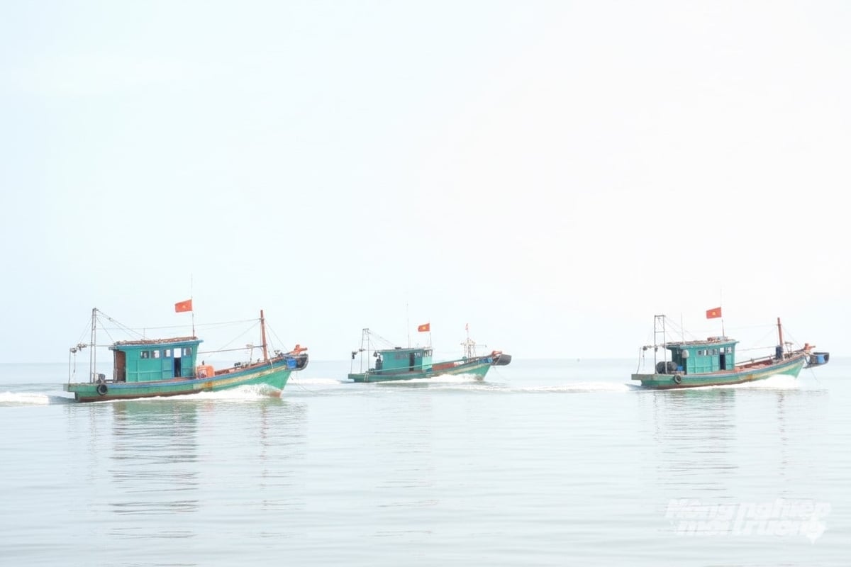 Hàng chục tàu cá '3 không' tập trung khai thác hải sản trái phép tại vùng cấm, làm náo loạn vùng biển thuộc xã Kiên Lương. Ảnh: Trung Chánh.