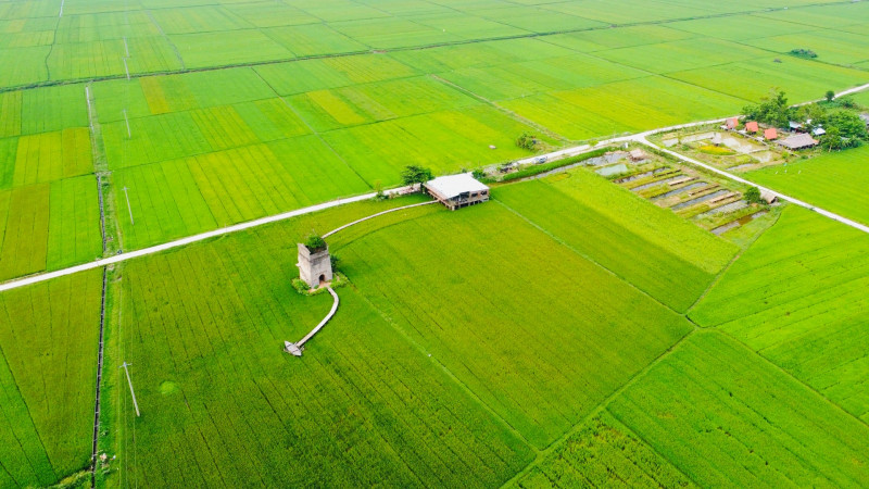 Đà Nẵng: Trợ lực cho du lịch nông thôn - Ảnh 1.