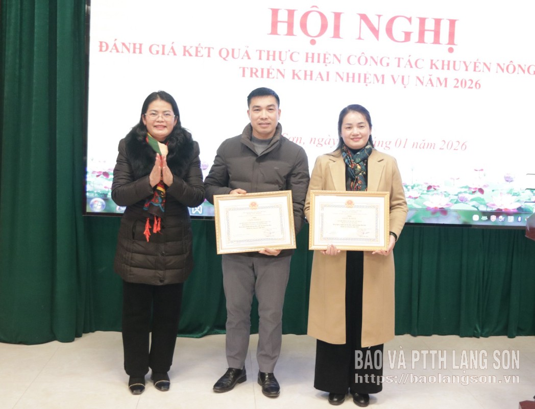 Lãnh đạo Sở Nông nghiệp và Môi trường trao tặng giấy khen cho đại diện các tập thể