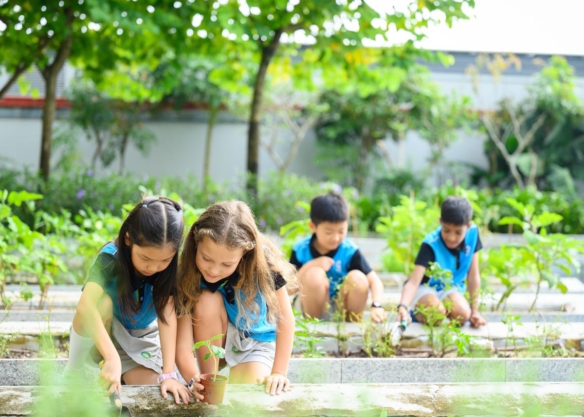 Trong quá trình triển khai Giải thưởng năm 2025, Ban Tổ chức ghi nhận những kết quả rất tích cực, vượt xa kỳ vọng ban đầu. Ảnh minh họa.&nbsp;