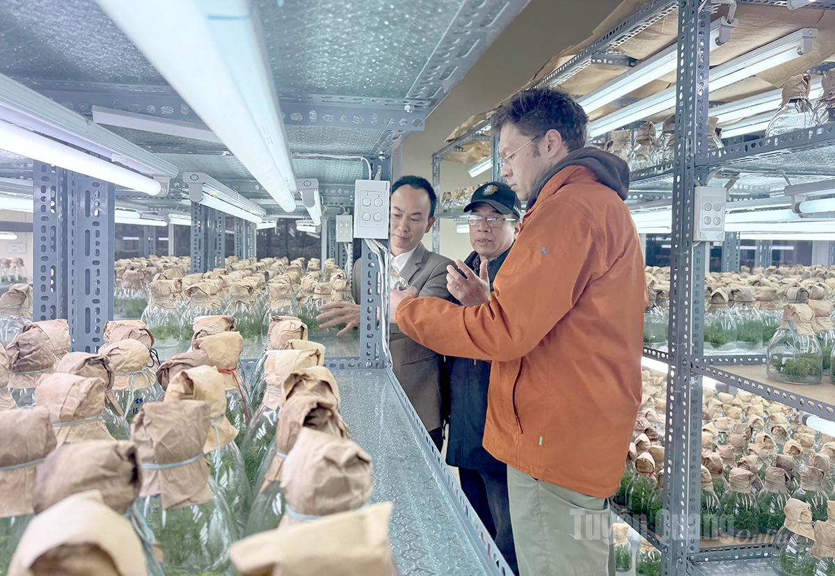 Experten besuchten das auf Gewebekultur basierende Saatgutproduktionsmodell im Experimentellen und Praktischen Ausbildungszentrum der Tan Trao Universität.