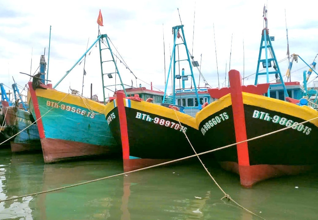 Tàu cá của tỉnh Lâm Đồng đang neo đậu tại cảng cá Phan Thiết. Ảnh: KS.
