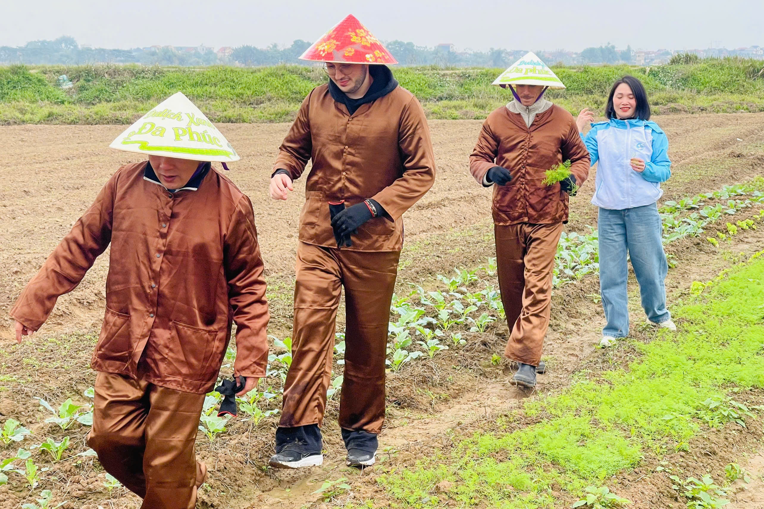 Khách Tây trồng rau giữa trời 10 độ C ở Hà Nội