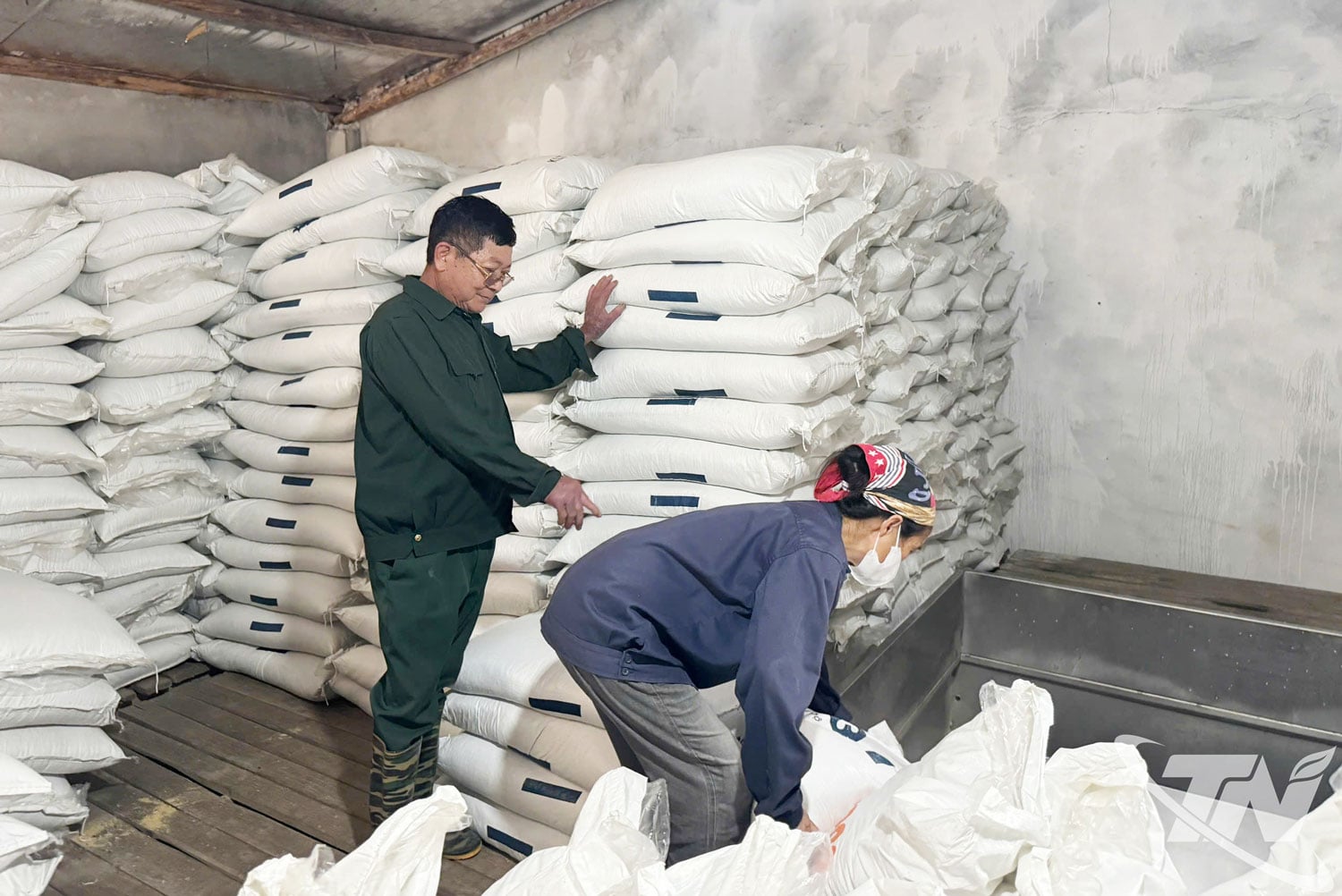 Molte aziende agricole e allevamenti di bestiame a Thai Nguyen utilizzano mangimi provenienti da stabilimenti di produzione di mangimi per animali situati all'interno della provincia.