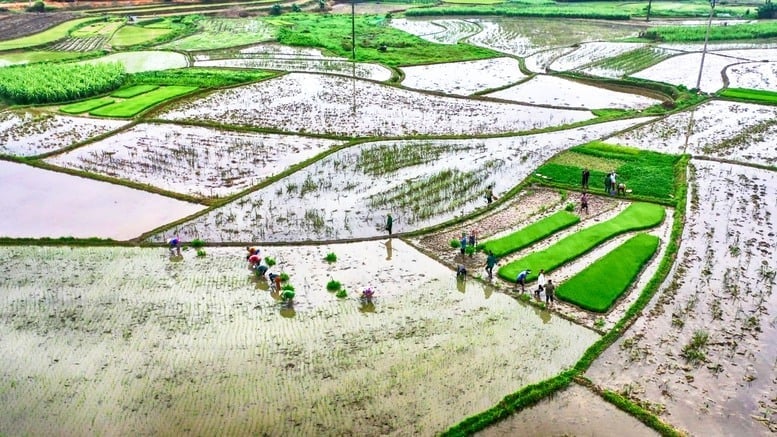 La seconda fase di estrazione dell'acqua sarà attuata dalle 00:00 del 29 gennaio alle 24:00 del 4 febbraio 2026, per una durata di 7 giorni. Foto: VGP/Toan Thang. Đợt 2 lấy nước sẽ được triển khai từ 0 giờ 00 ngày 29/1 đến 24 giờ 00 ngày 4/2/2026, kéo dài 7 ngày. Ảnh: VGP/Toàn Thắng.