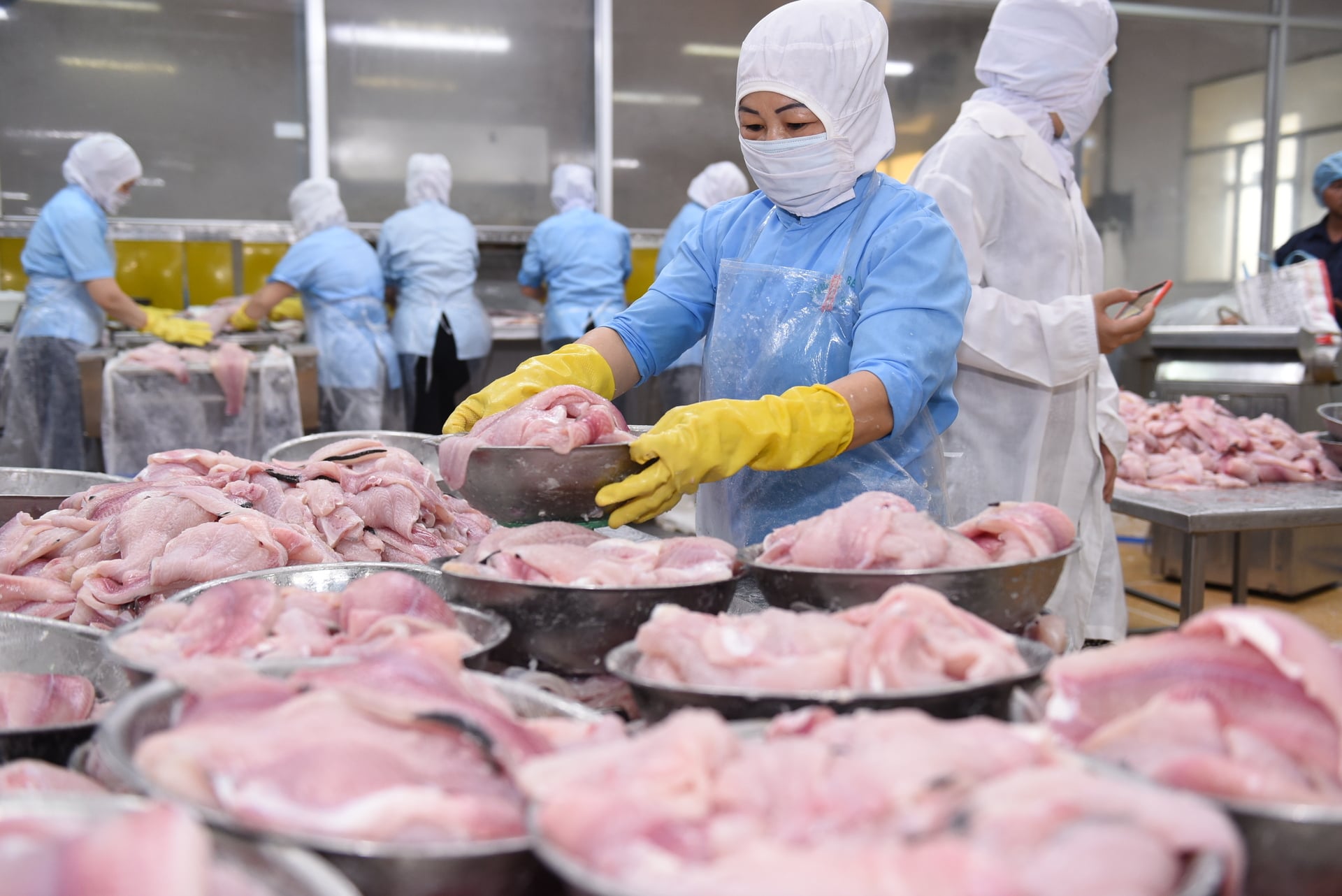 Bức tranh kinh doanh của PAN năm 2025, phân theo lĩnh vực nông nghiệp – thủy sản – thực phẩm có sự phân hóa rõ rệt. Ảnh: PAN.