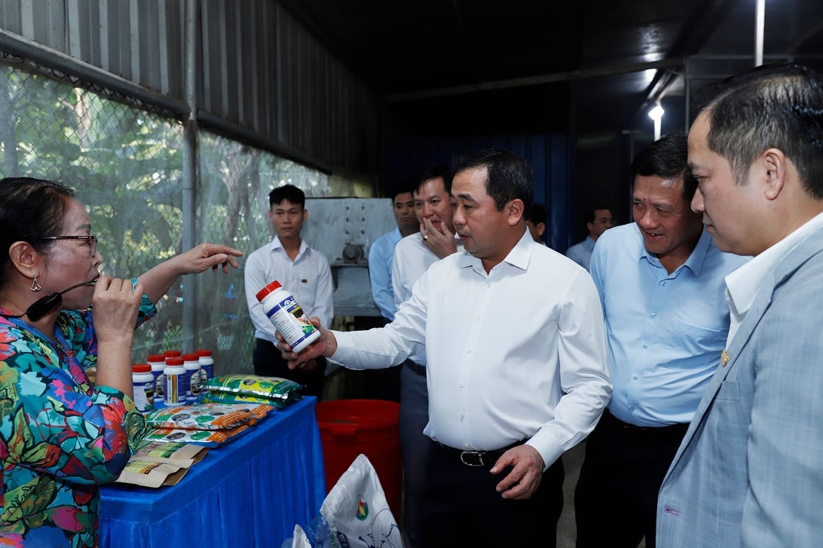 Il Ministro dell'Agricoltura e dell'Ambiente Tran Duc Thang ha espresso grande apprezzamento per il valore scientifico di Guilin. Foto: Hoang Anh. Bộ trưởng Bộ Nông nghiệp và Môi trường Trần Đức Thắng đánh giá cao giá trị khoa học của Quế Lâm. Ảnh: Hoàng Anh.