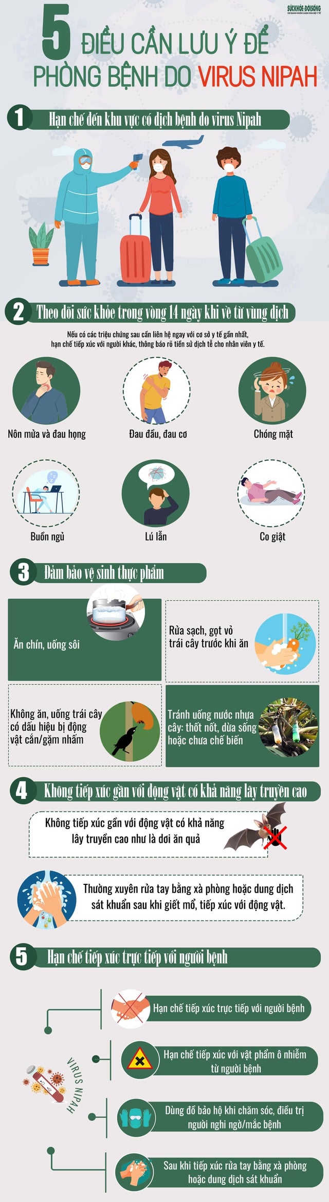 [Infografica] - 5 cose da tenere a mente per prevenire la malattia da virus Nipah - Immagine 2.