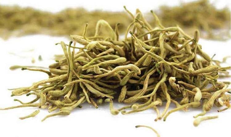 8 vị thuốc giúp giảm đau họng- Ảnh 3.