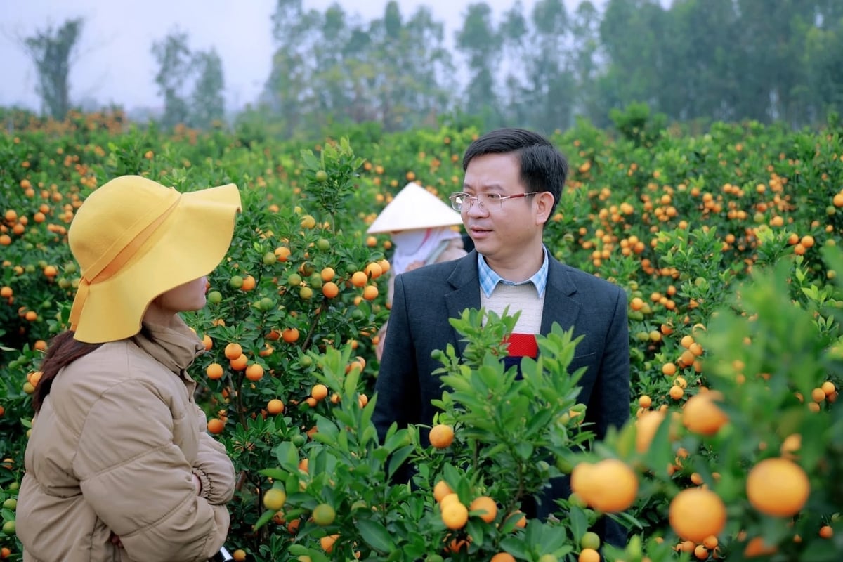 De voorzitter van de wijk Binh Khe (rechts) bezoekt en moedigt gezinnen aan die bloemen en sierplanten kweken. Foto: Le Dai. Chủ tịch phường Bình Khê (phải) thăm hỏi, động viên các hộ trồng hoa, cây cảnh. Ảnh: Lê Đại.