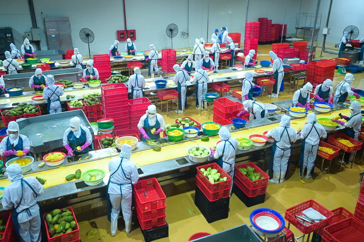 Nông nghiệp không chỉ được nhìn nhận như một ngành sản xuất đơn thuần, mà ngày càng thể hiện vai trò trụ đỡ kinh tế – xã hội. Ảnh: Tùng Đinh.