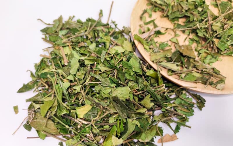 Quali precauzioni bisogna prendere quando si usa la Gymnema sylvestre?
