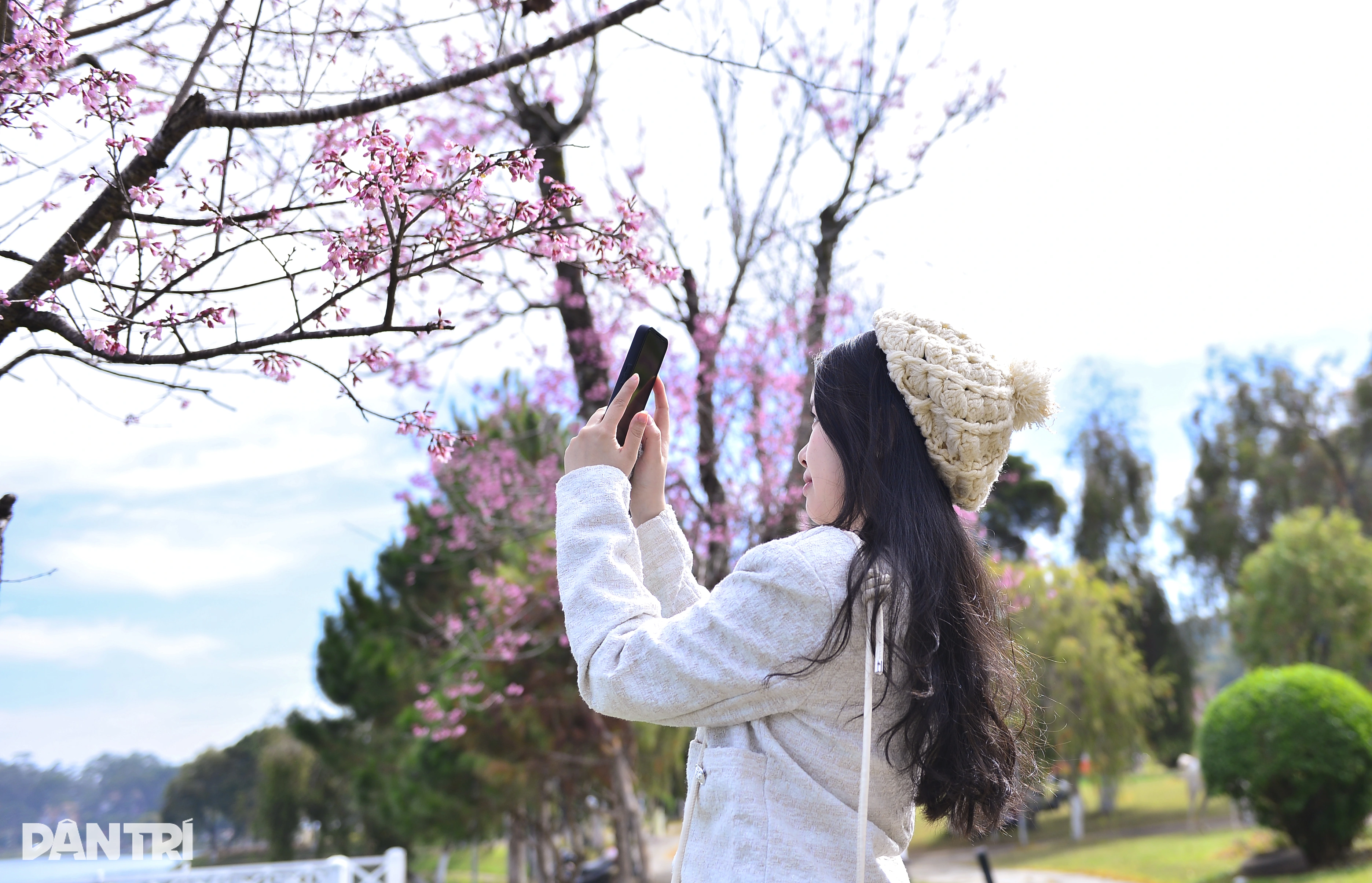10.webp