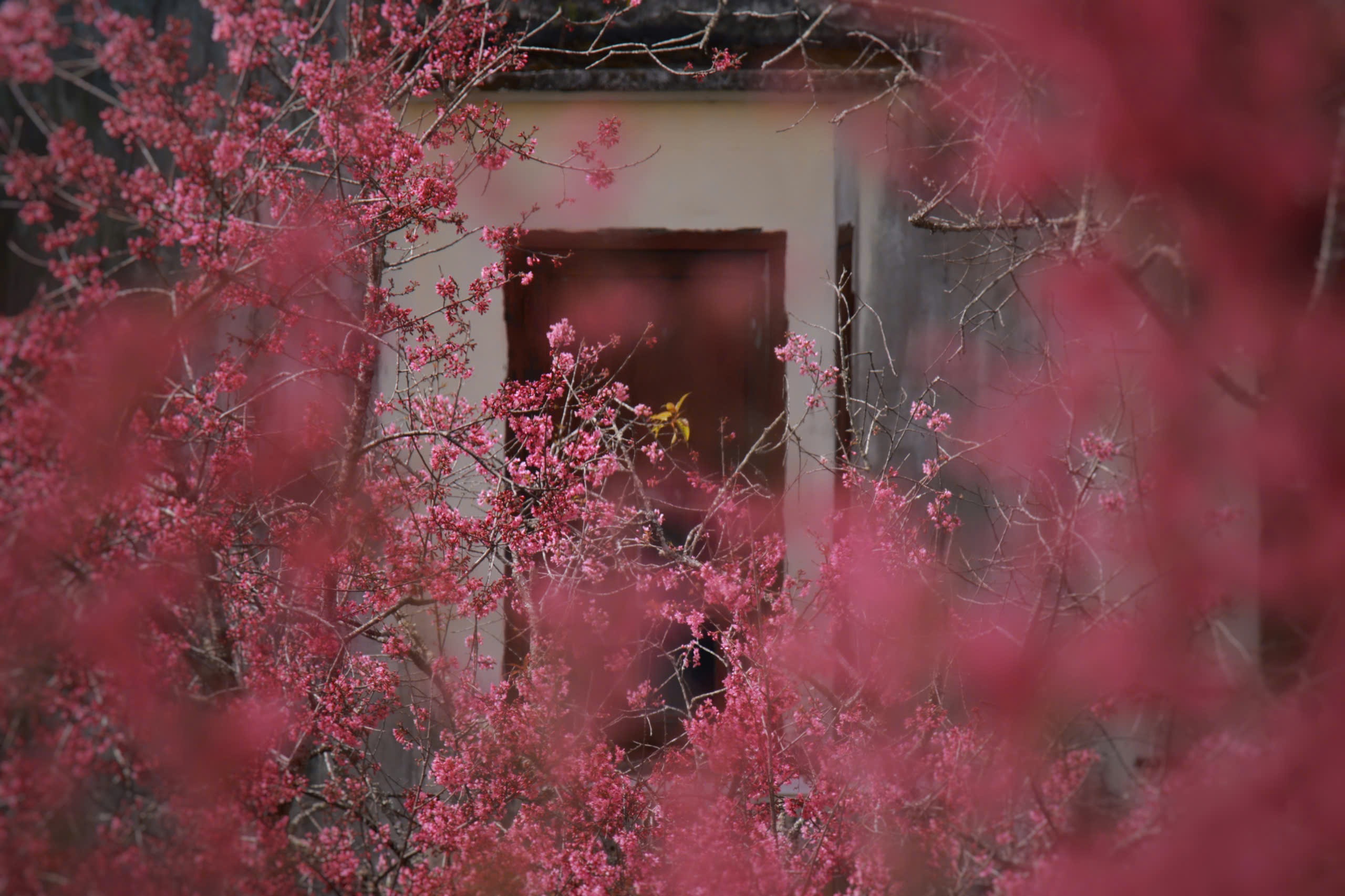 Da Lat, foto 11