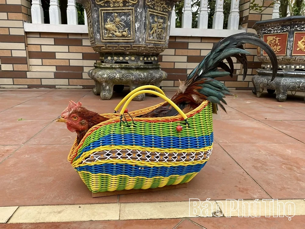 Pollo