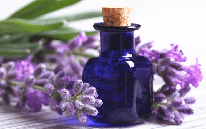 6 cách đơn giản giúp giảm lo âu, căng thẳng- Ảnh 1.