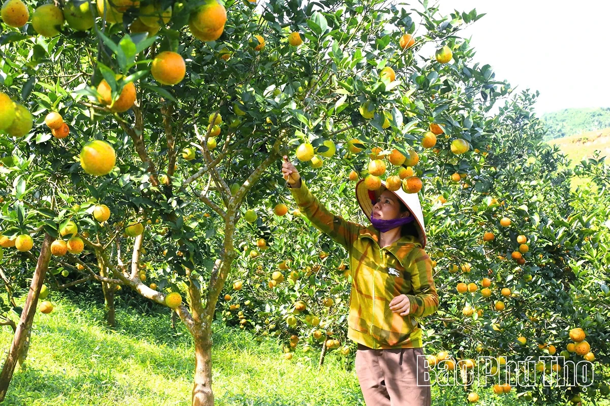 دگرگونی برای پذیرش عصری جدید.