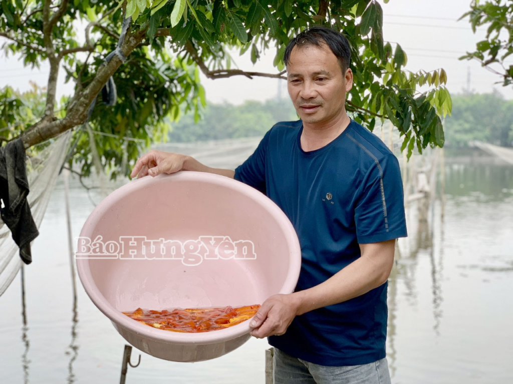 Dal 13° al 20° giorno del dodicesimo mese lunare, le famiglie pescano carpe rosse da vendere in vista della festa di Tet Ong Cong, Ong Tao (il dio della cucina).