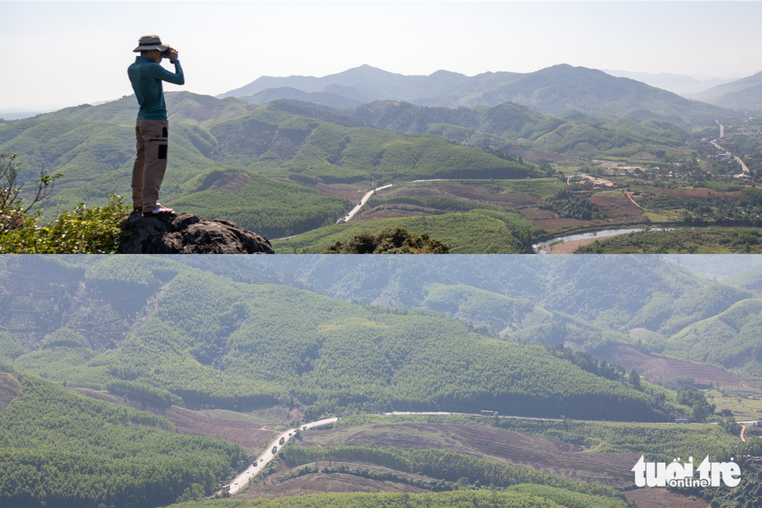 rockpile - Ảnh 2.