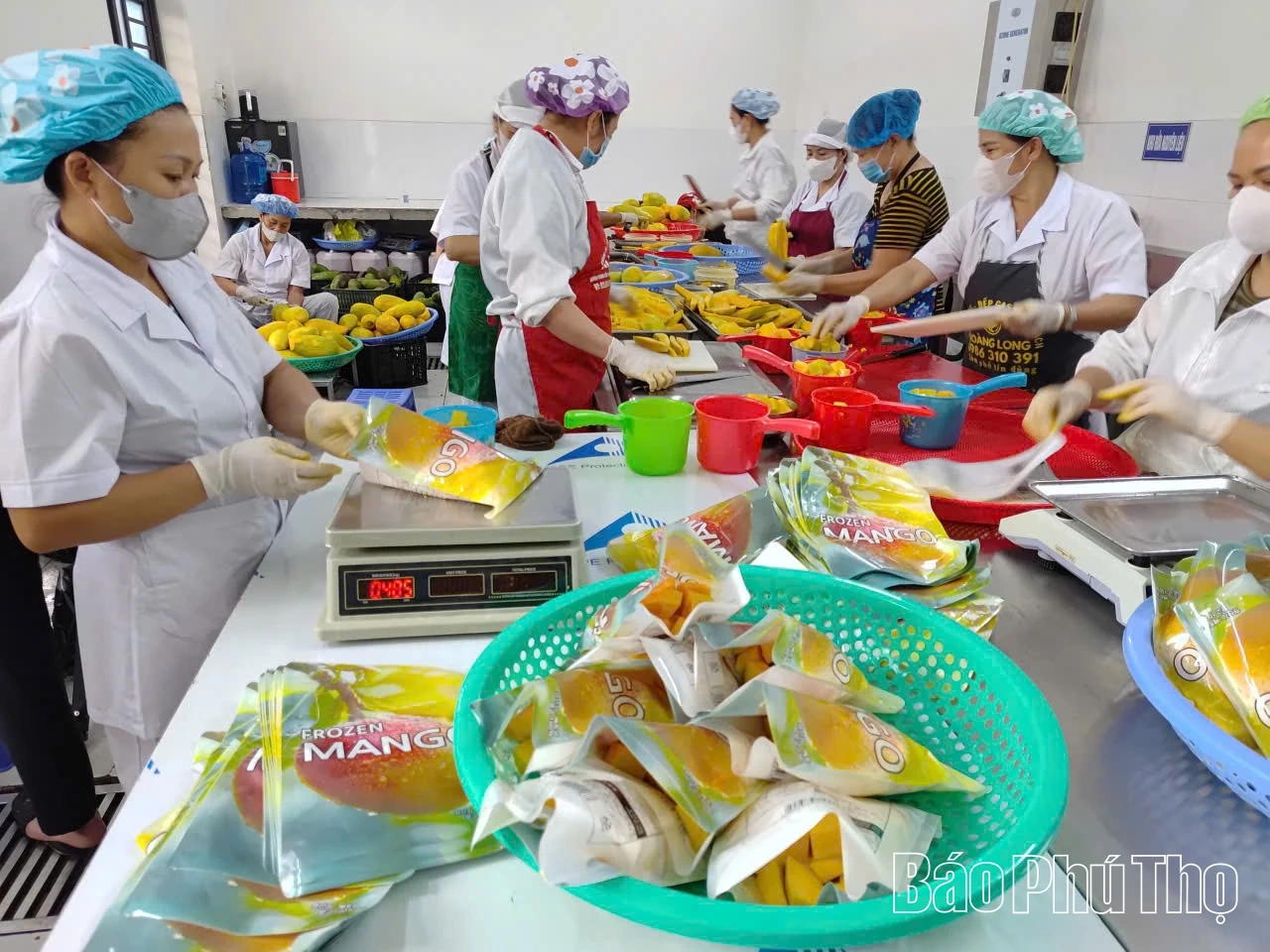 มูลค่ารวมของการส่งออกสินค้าเกษตร ป่าไม้ และสัตว์น้ำ มีมูลค่าเกือบ 1,800 พันล้านดองเวียดนาม