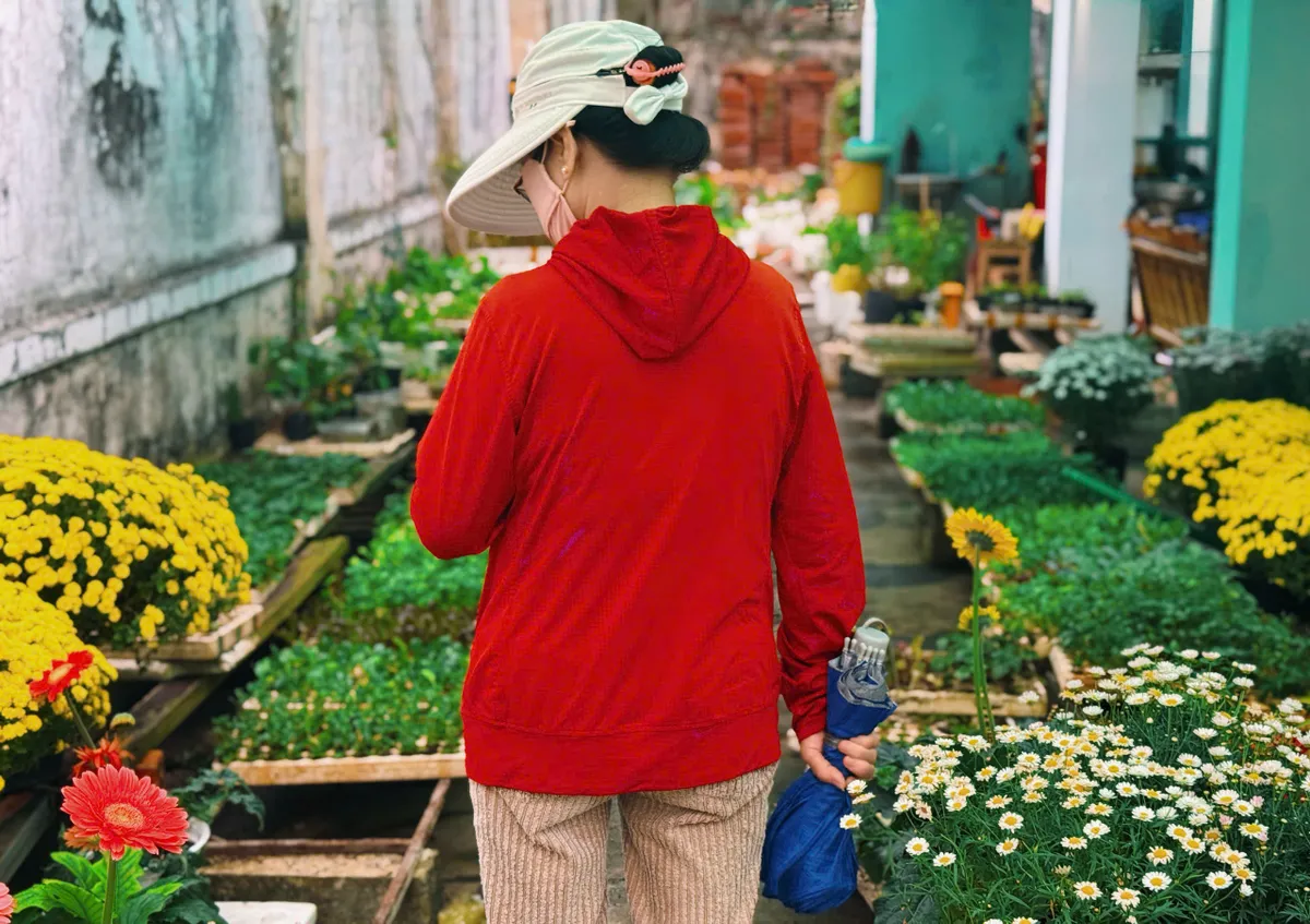 Khánh Hòa: Hoa Tết về, sắc xuân lan tỏa phố biển- Ảnh 7.