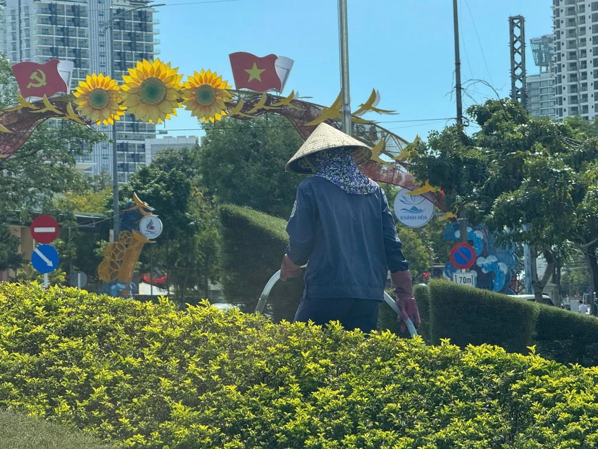 Khánh Hòa: Hoa Tết về, sắc xuân lan tỏa phố biển- Ảnh 8.