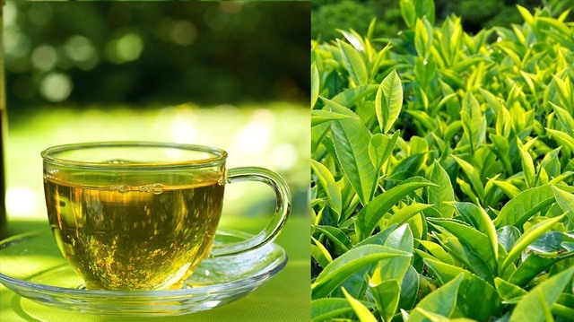 Những loại nước đặc trưng và mang ý nghĩa cho ngày Tết  - Ảnh 1.