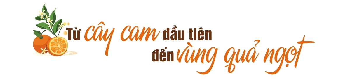 A szeles föld édessége