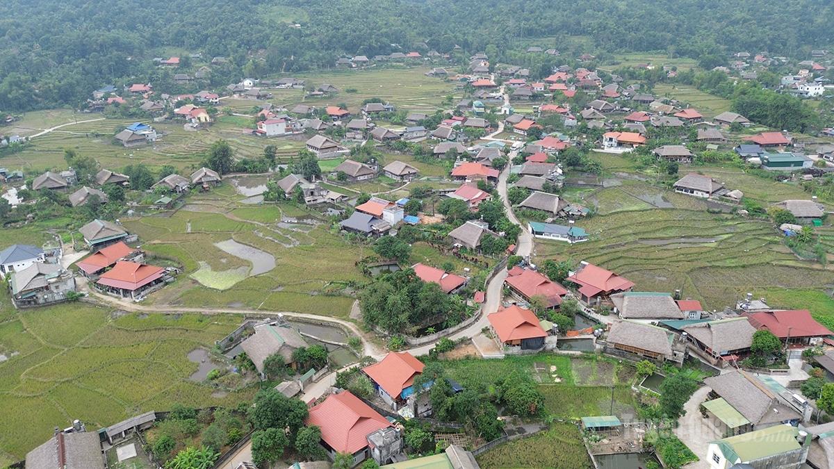 In vielen Dörfern der ethnischen Minderheit der Tay im Hochland von Tuyen Quang wird der Bong-Fisch seit Generationen gezüchtet.