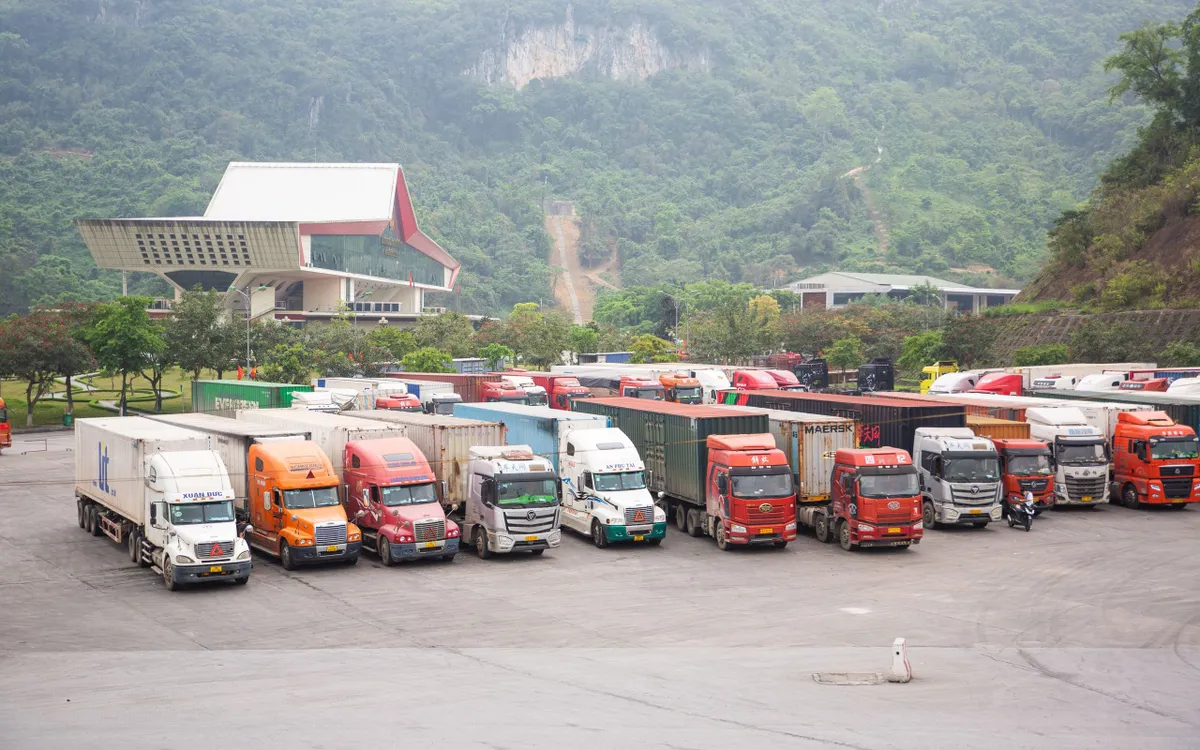 (صورة توضيحية) (Ảnh minh họa)