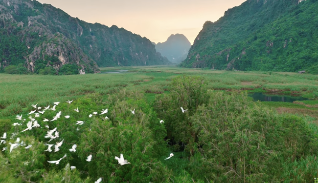 When international music becomes a bridge to promote Vietnamese tourism to the world - Photo 4. Khi âm nhạc quốc tế trở thành cầu nối quảng bá du lịch Việt Nam ra thế giới - Ảnh 4.