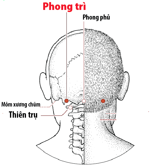Il massaggio di digitopressione aiuta ad alleviare il dolore muscolare causato dal freddo - Immagine 1. Xoa bóp bấm huyệt giúp giảm đau cơ do lạnh- Ảnh 1.